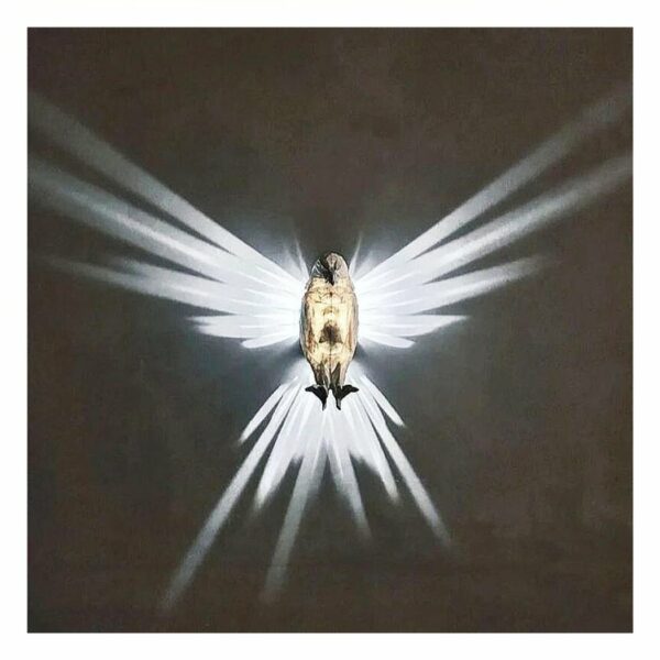 on voit sur un fond noir une applique murale allumée qui fait des ailes d'oiseaux sur les murs avec sa lumière