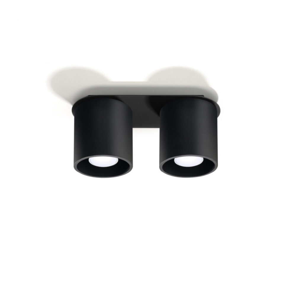 Minimalist dual-light ceiling light