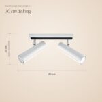 Ceiling light with 2 adjustable cylinder spots