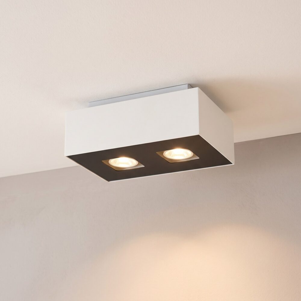 Ceiling light with 2 spots in a rectangular housing