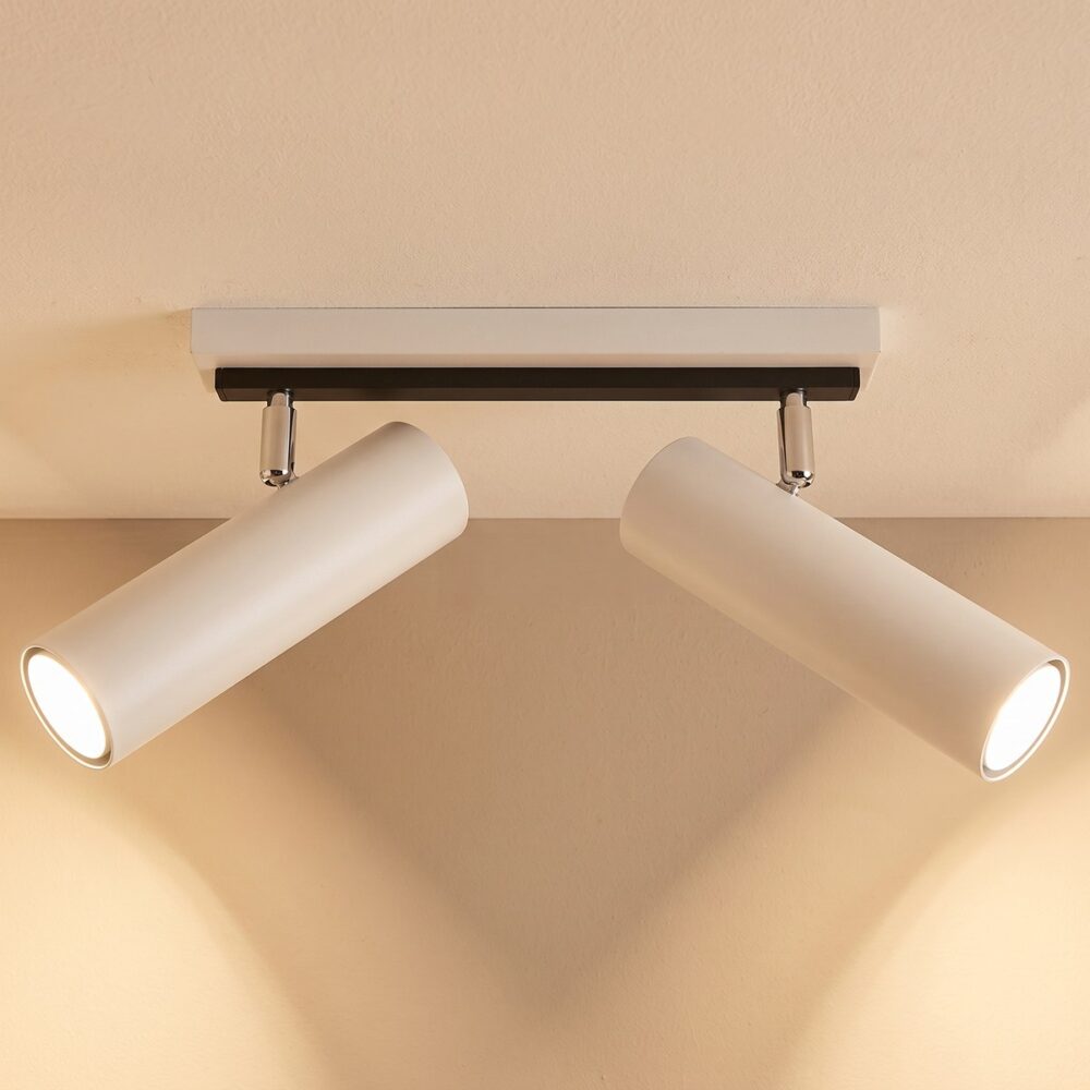 Ceiling light with 2 adjustable cylinder spots